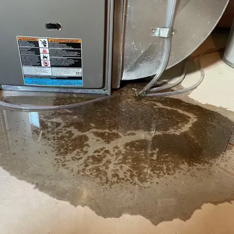 Appliance Leak Cleanup in Greenbrier County, WV